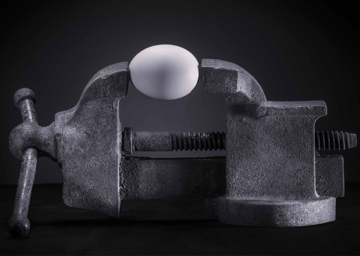 Photograph by Eric James showing an egg in a vise